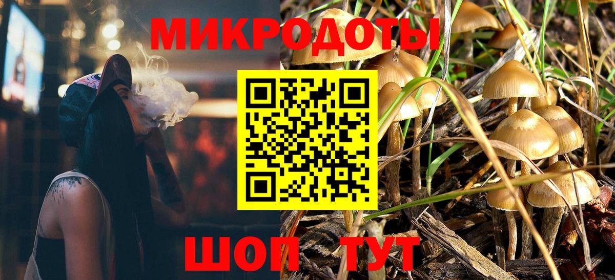 Галлюциногенные грибы Psilocybe Азнакаево